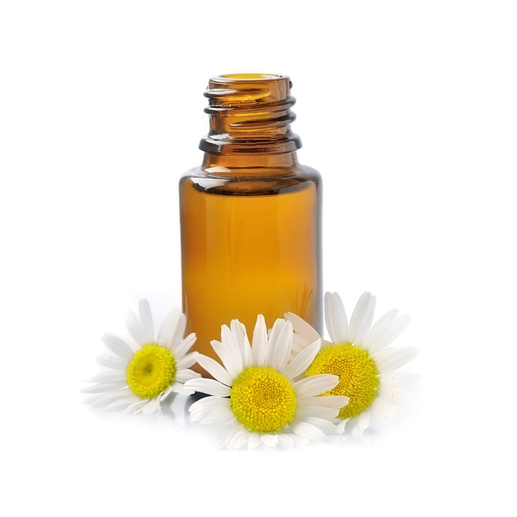 Essential Oils for Meditation - chamomile