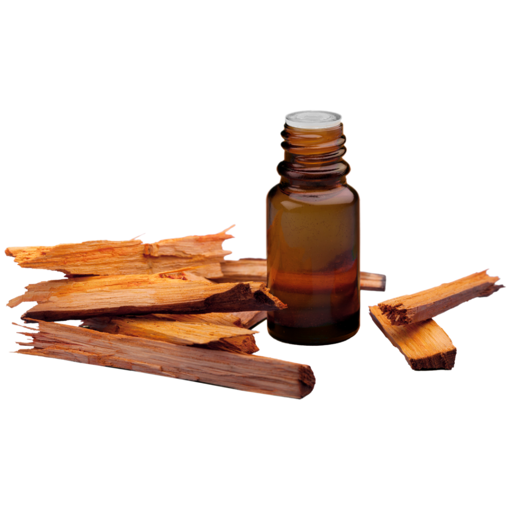 Essential Oils for Meditation - Sandalwood 