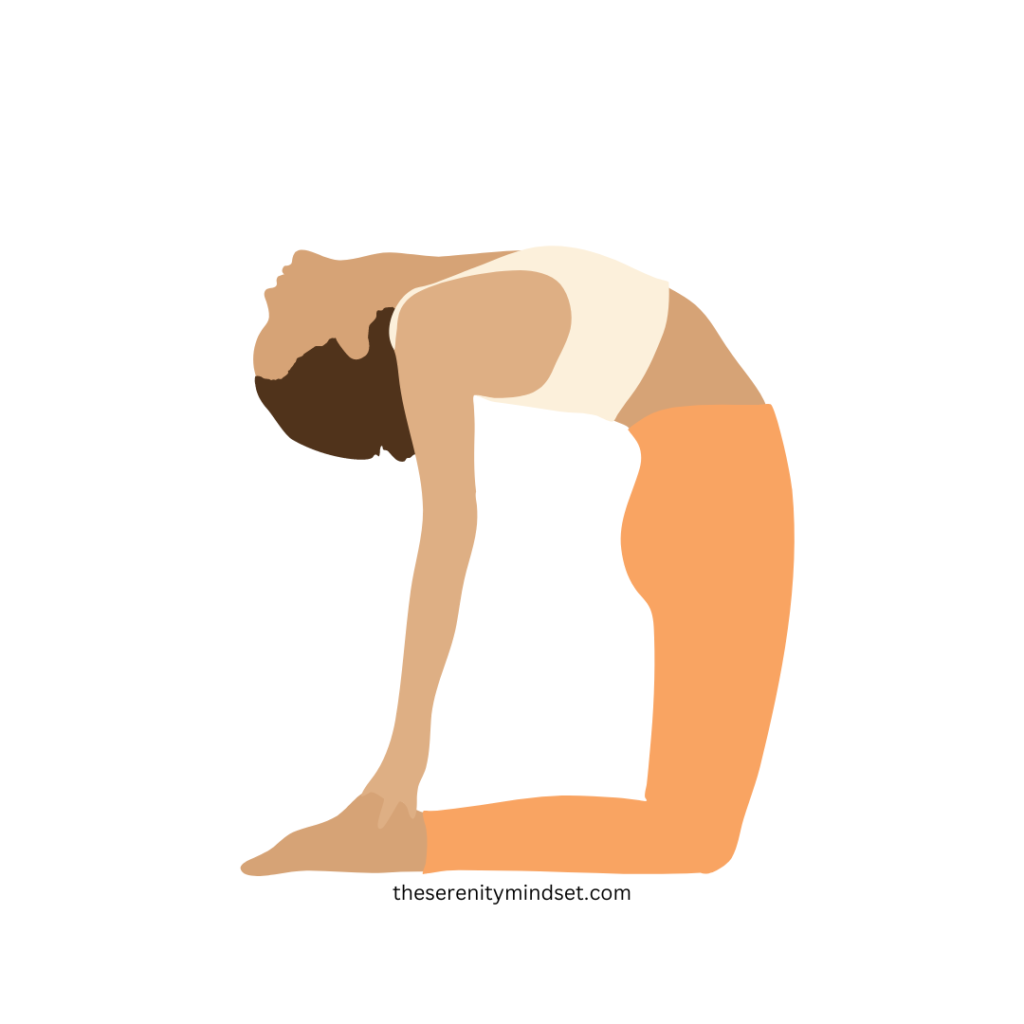 Yoga poses for weight loss. A woman doing camel pose.