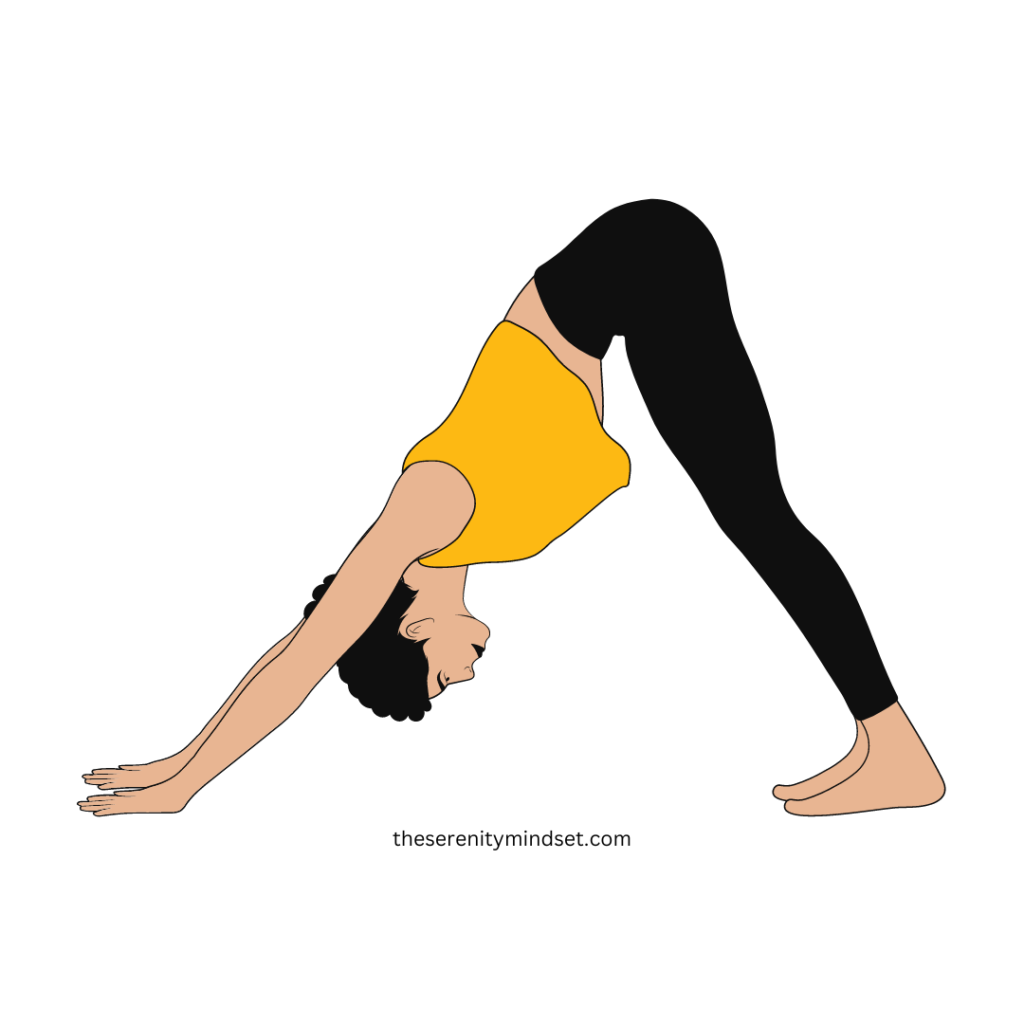 Yoga Poses for weight Loss. A woman doing downward facing dog pose