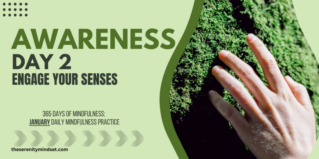 Daily Mindfulness Practice - engage your senses