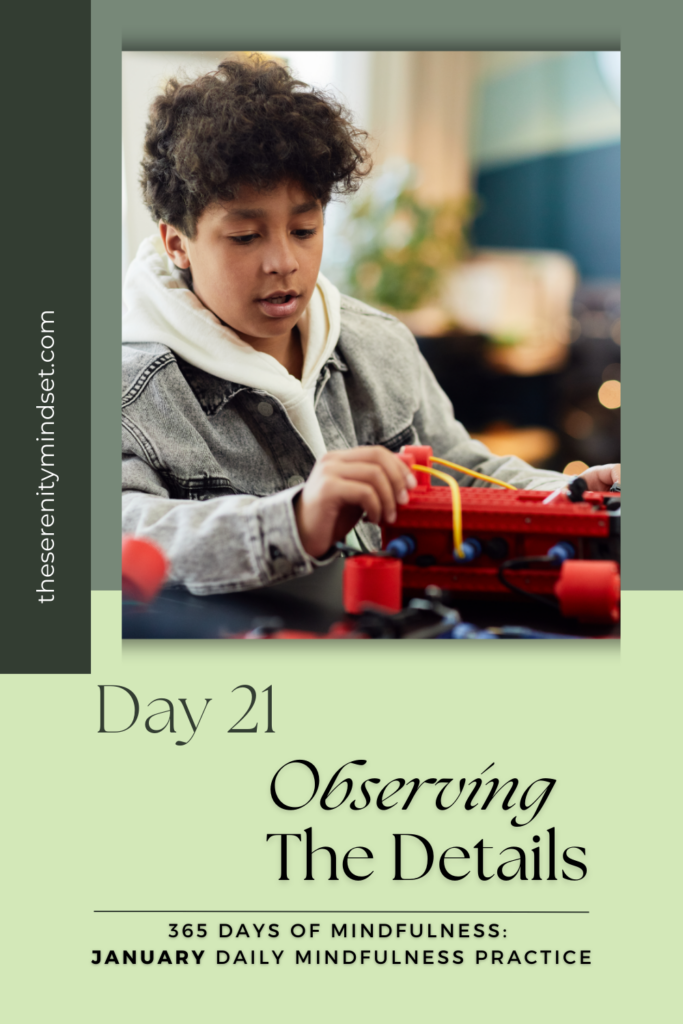 Daily MIndfulness Practice - observing the details